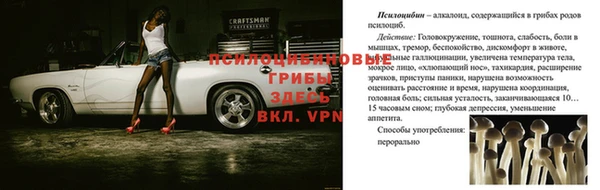 мескалин Краснослободск