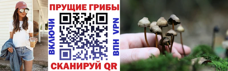 Галлюциногенные грибы мицелий  кракен ссылки  Шахунья 